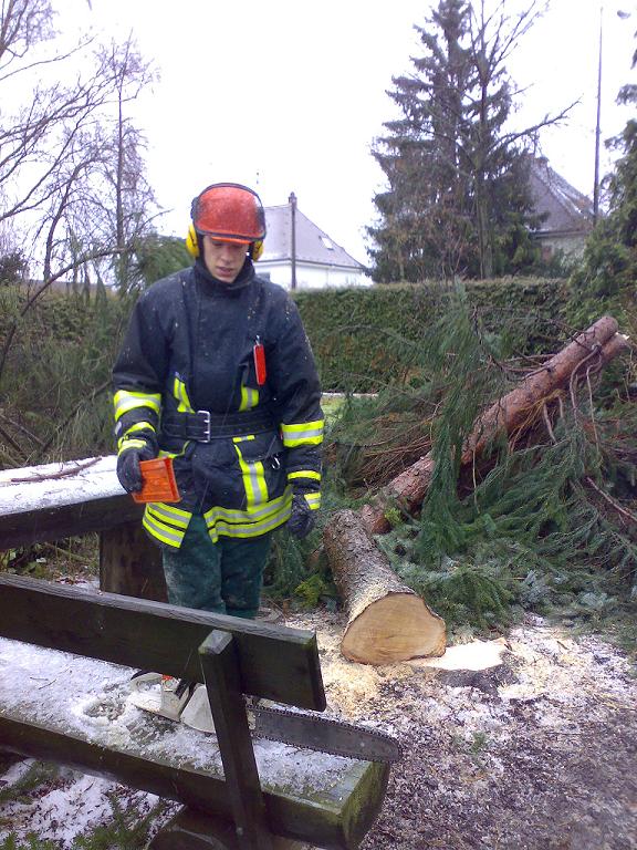 Unwetter Baum auf Straße